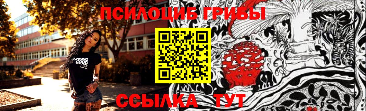 Галлюциногенные грибы Psilocybine cubensis Дятьково