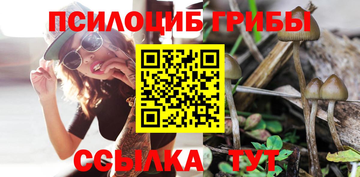 Дятьково  Галлюциногенные грибы Cubensis  Вход с VPN 