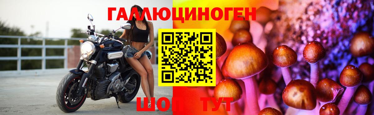 Псилоцибиновые грибы GOLDEN TEACHER  Дятьково 